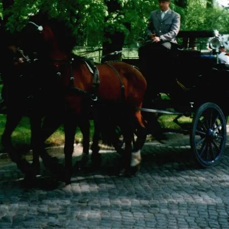 Am Rheinsberger Schlosspark
