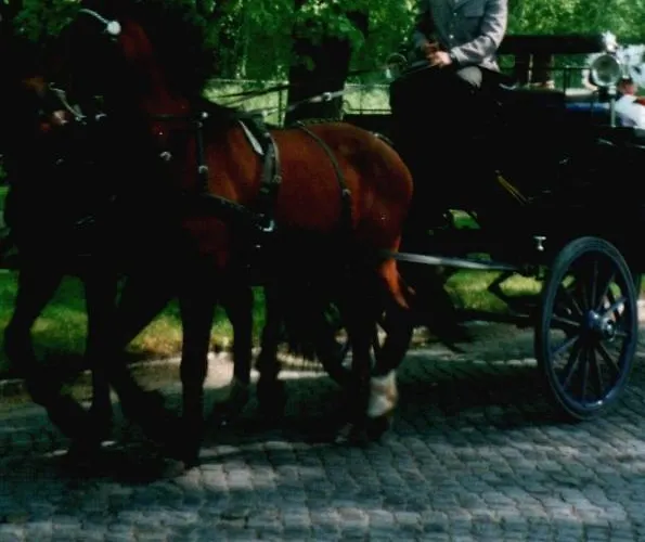 Am Rheinsberger Schlosspark